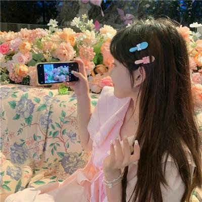护花大臣